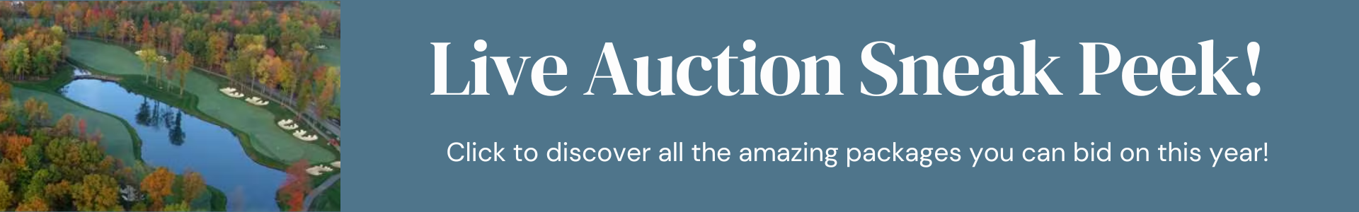 Live auction sneak peak! Click here to download auction packages.